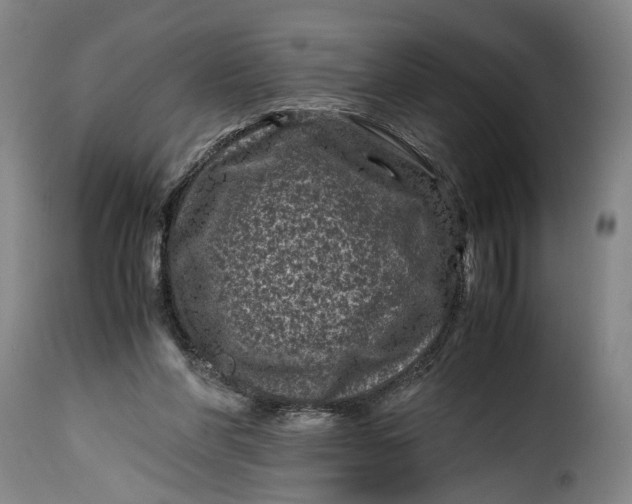 X0000115370206200911241248
