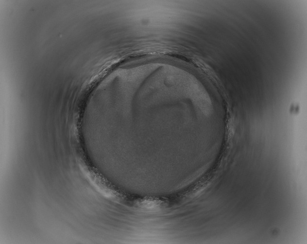X0000115370209200911241248