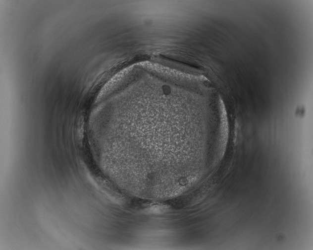 X0000115370210200911241248