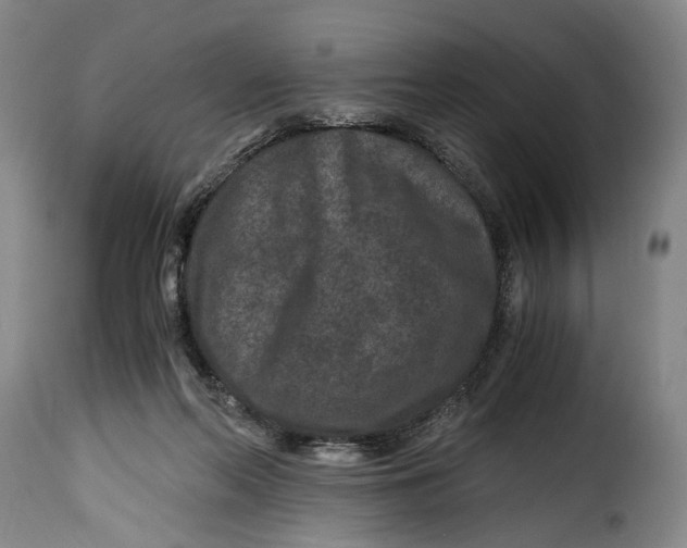 X0000115370214200911241248