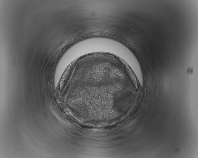 X0000115370215200911241248
