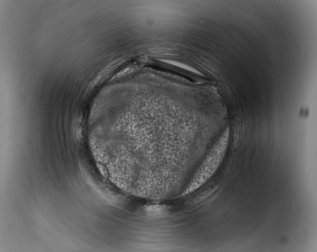 X0000115370216200911241248