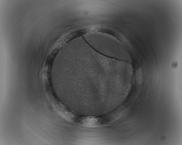 X0000115370217200911241247