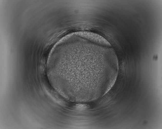 X0000115370218200911241247