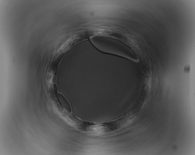 X0000115370219200911241247