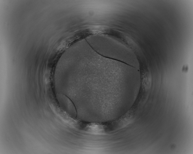 X0000115370221200911241247