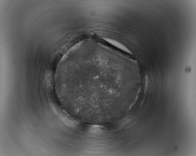 X0000115370222200911241247