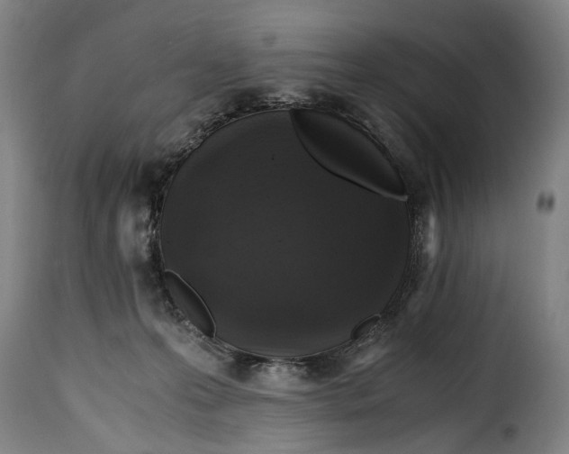 X0000115370223200911241247