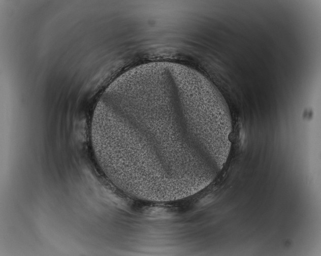 X0000115370224200911241247