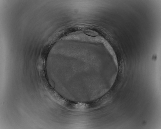 X0000115370225200911241247