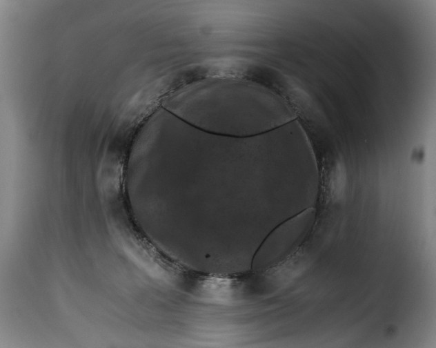 X0000115370227200911241247