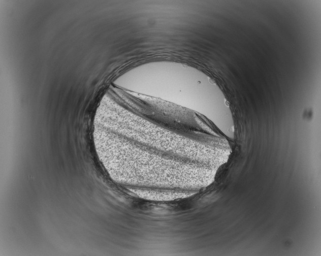 X0000115370229200911241247