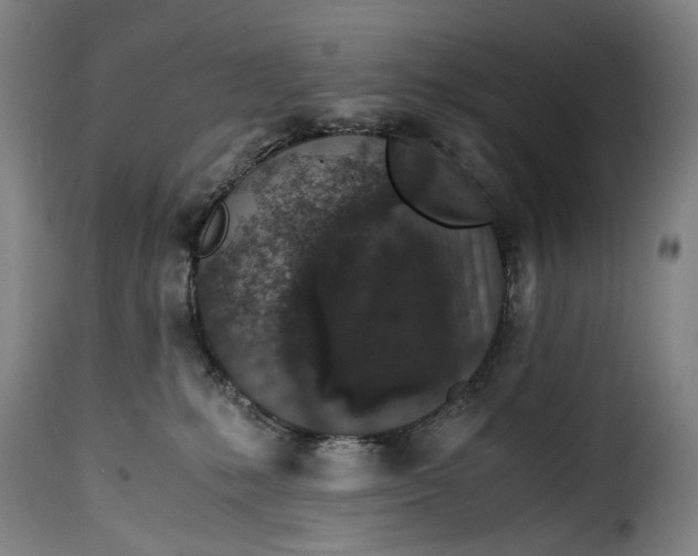 X0000115370231200911241247
