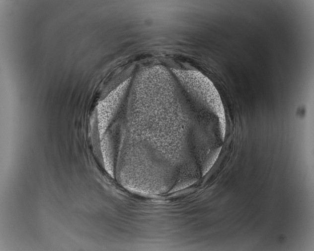 X0000115370233200911241247