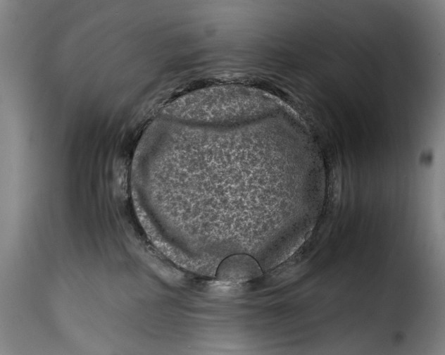 X0000115370234200911241247