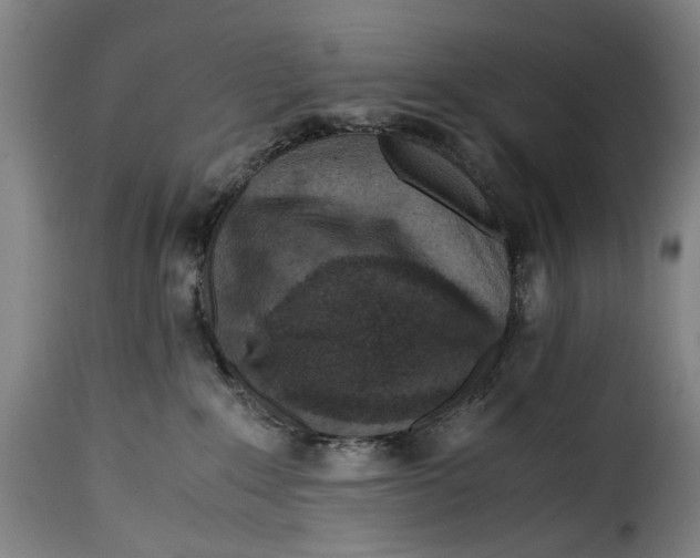 X0000115370235200911241247