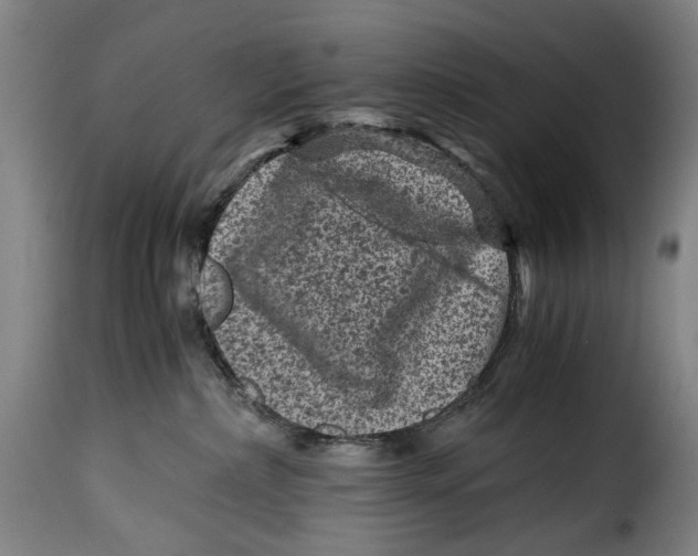 X0000115370236200911241247
