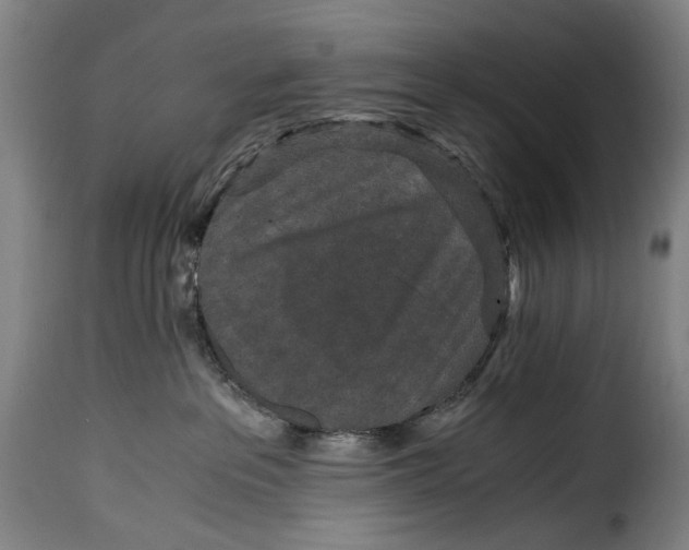 X0000115370237200911241247