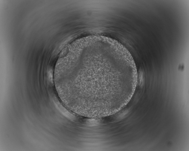 X0000115370238200911241247