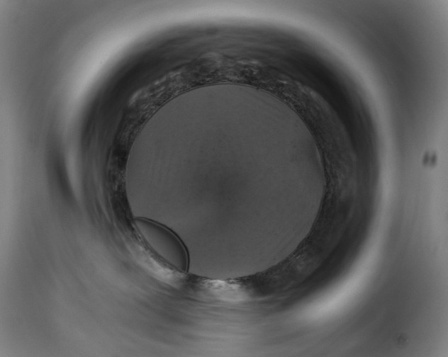 X0000115370239200911241247