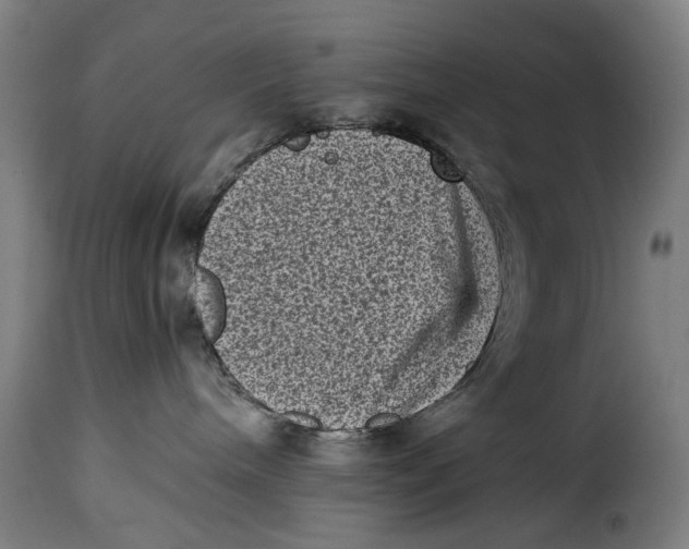 X0000115370240200911241247