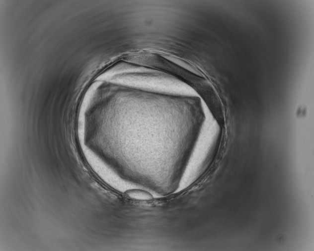 X0000115370241200911241247
