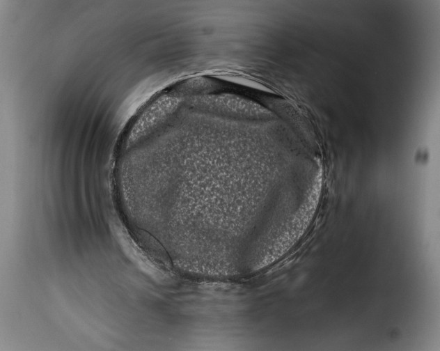 X0000115370242200911241247
