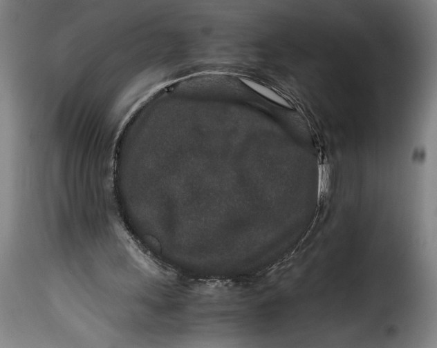 X0000115370243200911241247