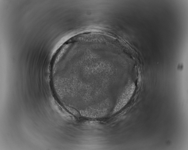 X0000115370244200911241247