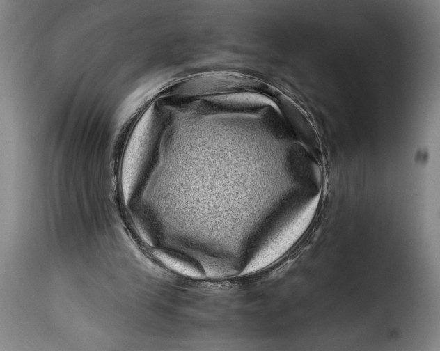 X0000115370245200911241247