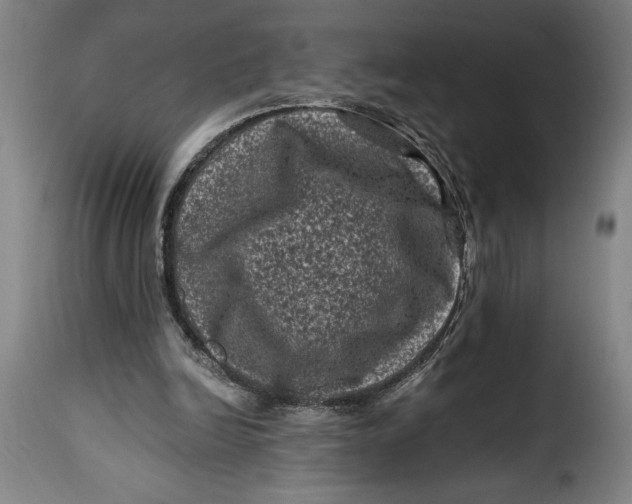 X0000115370246200911241247