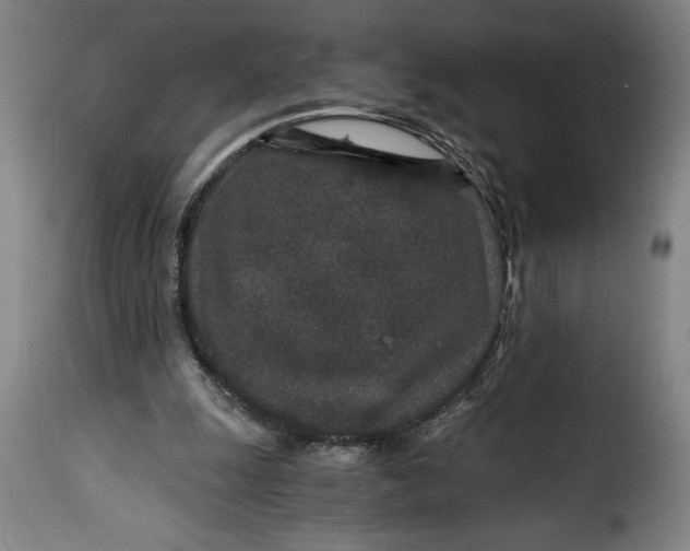 X0000115370247200911241247