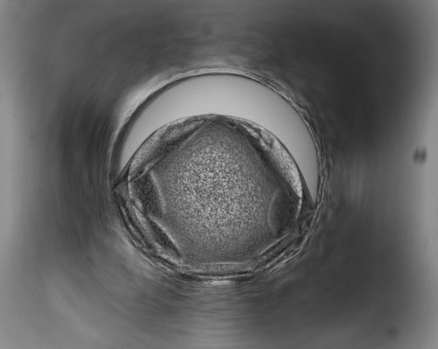 X0000115370248200911241247