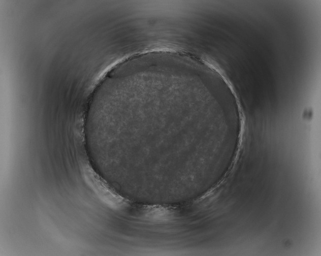 X0000115370249200911241247