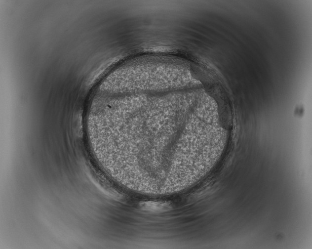 X0000115370251200911241247