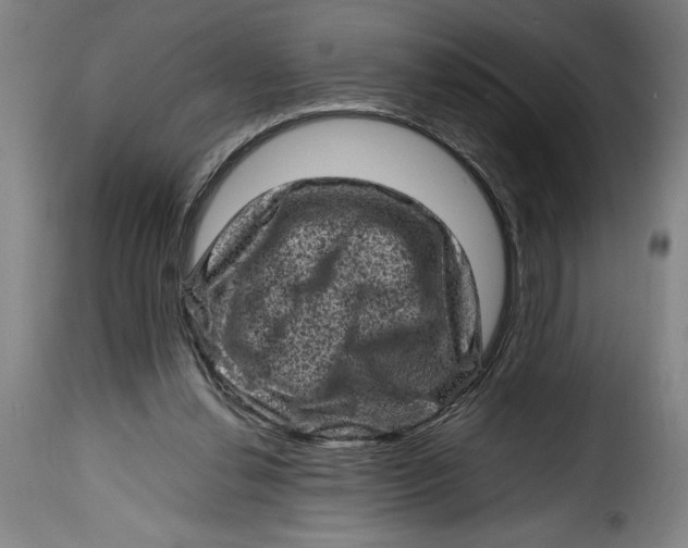 X0000115370252200911241247