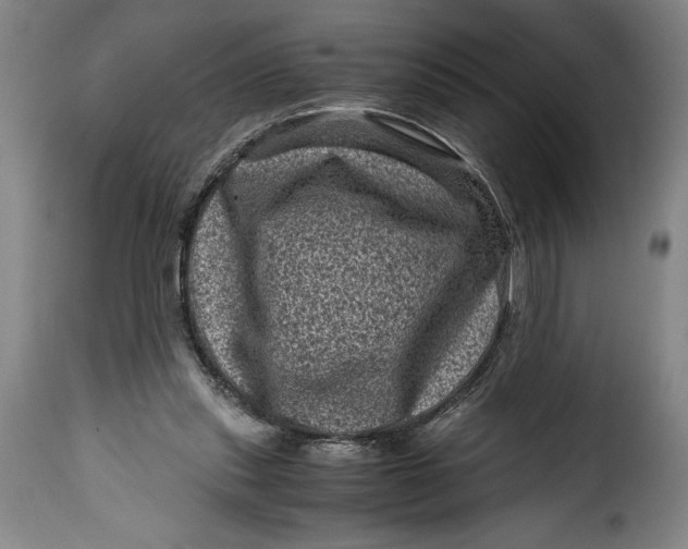 X0000115370253200911241247