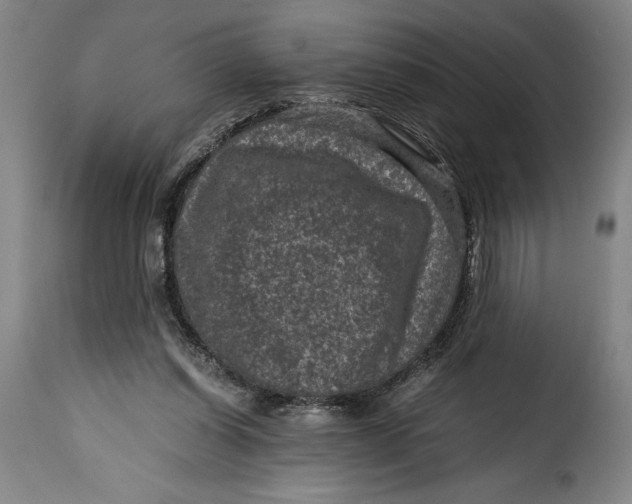 X0000115370254200911241247