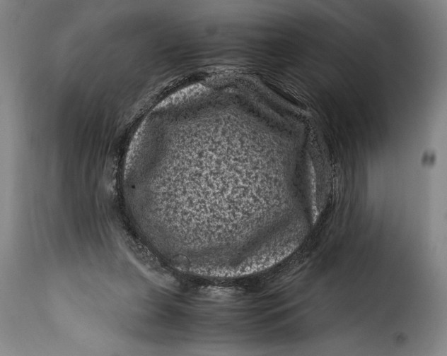 X0000115370255200911241247