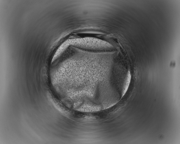 X0000115370256200911241247