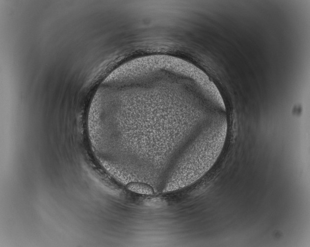 X0000115370258200911241247