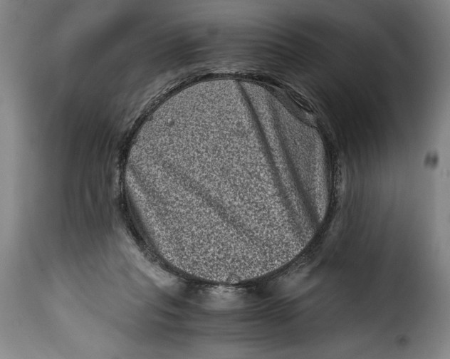 X0000115370261200911241247