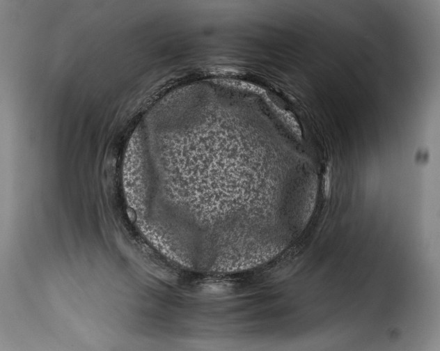 X0000115370263200911241247