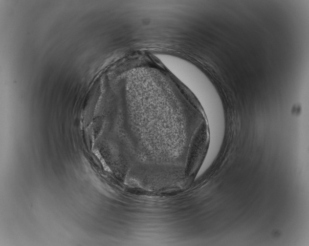X0000115370264200911241247