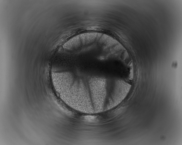 X0000115370265200911241247