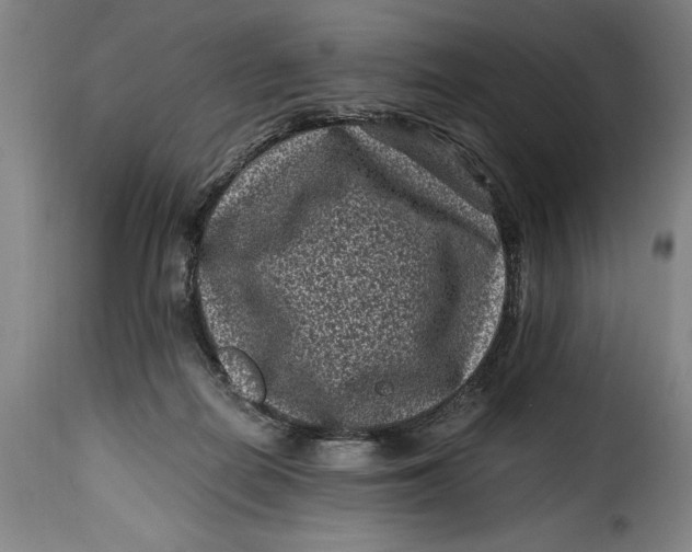 X0000115370266200911241247