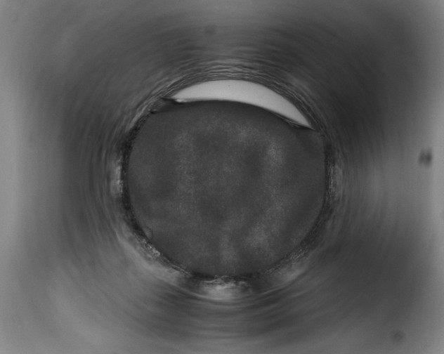 X0000115370267200911241247