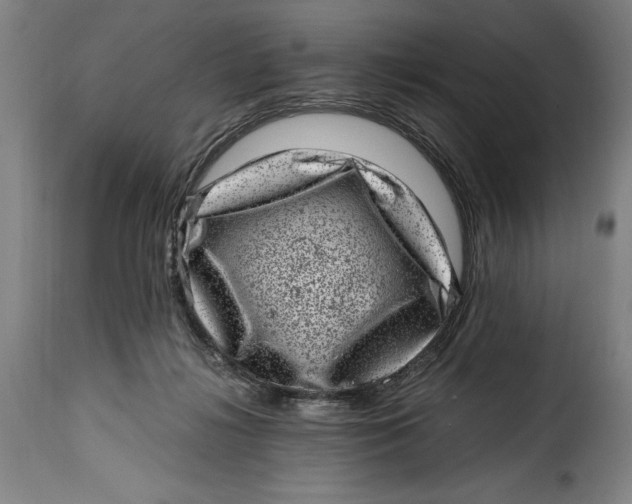 X0000115370268200911241247