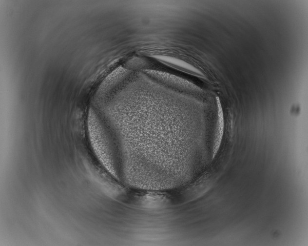 X0000115370270200911241247