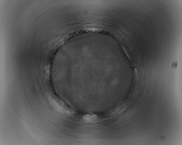 X0000115370271200911241247